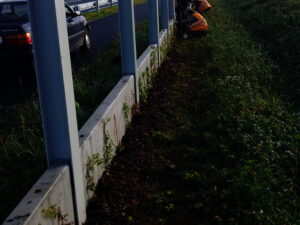 Pracovníci v oranžových bezpečnostních vestách sedí na trávě za zábranou u silnice, poblíž silnice stojí zaparkované auto. Prostor je lemován zelení a světlo je tlumené.