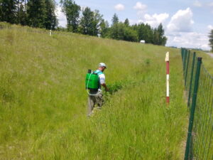 Osoba v modrém klobouku a se zeleným postřikovačem na zádech provádí chemické ošetření trávníku, postřikuje plevel u plotu na travnaté ploše za slunečného dne se stromy a modrou oblohou s mraky v pozadí.