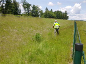 Dvě osoby v bezpečnostních vestách procházejí vysokou trávou vedle zeleného kovového plotu v travnatém příkopu, pravděpodobně provádějí průzkum pro chemické ošetření trávníku, v pozadí jsou stromy a částečně zatažená obloha.