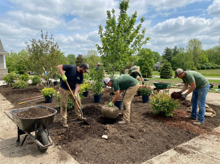 Čtyři lidé v pracovních rukavicích sázejí za slunečného dne stromy a keře na upraveném dvoře. Jedna osoba hází zeminu lopatou, druhá zvedá stromek a další upravují rostliny. Je vidět zahradnické nářadí a trakaře.