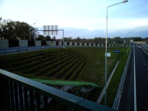 Pohled na moderní dálnici s pouličním osvětlením, protihlukovými stěnami a travnatým náspem s řadami drobných rostlin. Silnici lemuje modrá značka a svodidla, v dálce jsou vidět domy a stromy.