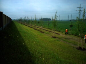 Dělníci v oranžových vestách sázejí mladé stromky v řadě podél travnaté plochy vedle protihlukové stěny a otevřených zelených polí pod zamračenou oblohou.