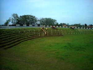 Několik lidí pracuje na terasovitých záhonech s půdou na travnatém svahu u silnice, v pozadí jsou stromy a pouliční osvětlení pod zataženou oblohou.