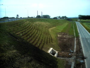 Svah u silnice osázený řadami mladých stromků nebo keřů, podepřených kůly, vedle dálnice. Plocha je zatravněná, v její blízkosti se nachází malá betonová konstrukce a stavební materiál silnice.