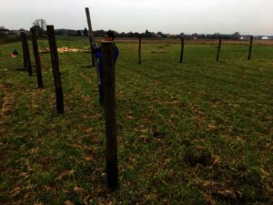 Osoba instaluje vysoké dřevěné sloupy na travnatém poli pod zamračenou oblohou. Několik sloupků je již na svém místě a ve vzdáleném pozadí jsou vidět budovy.