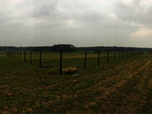 Travnaté pole pod zataženou oblohou s rovnoměrně rozmístěnými dřevěnými plotovými sloupky tvořícími obdélník; některé sloupky jsou shromážděny uprostřed a podél pravé strany obrazu vede polní cesta.