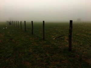 Přes travnaté pole se za mlhavého dne táhne drátěný plot a v pozadí se viditelnost ztrácí v husté mlze. Scéna působí klidně a prázdně, barvy jsou kvůli mlze tlumené.