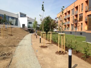 V nově upraveném venkovním areálu jsou mladé stromky podepřené dřevěnými kůly, štěrková cesta a v pozadí moderní bytové domy s oranžovými fasádami pod jasnou oblohou.