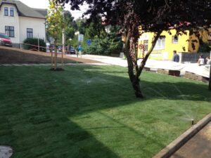 Čerstvě posekaný trávník s běžícími zavlažovači, strom v popředí a lidé pracující u žluté budovy v pozadí za slunečného dne.