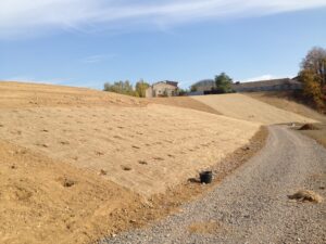 Svažitý, neúrodný svah pokrytý protierozní rohoží a řadami malých osázených jamek vedle štěrkové cesty. V pozadí jsou pod jasnou oblohou vidět budovy a stromy.