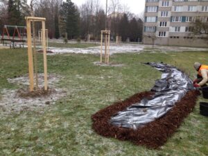 Osoba pracuje v blízkosti nově mulčovaného zahradního záhonu pokrytého černou textilií na travnaté ploše parku. Nedaleko jsou vysázeny mladé stromky podepřené dřevěnými kůly, v pozadí jsou vidět Bytové komplexy a dětské hřiště.