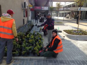 Čtyři pracovníci v oranžových bezpečnostních vestách sázejí malé keře podél chodníku u Bytového komplexu. Rostliny v květináčích jsou uspořádány v řadách, v pozadí jsou vidět blízké budovy a obchody.