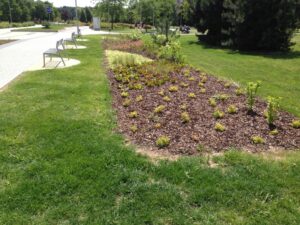 Upravená parková plocha u bytové komplexy nabízí záhon pokrytý mulčem, malé rostliny a keře, zelenou trávu, dlážděný chodník a několik prázdných kovových laviček, na kterých se vyhřívá slunečné počasí.