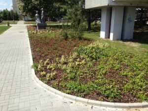 Upravená zahrada s mladými rostlinami a mulčem vedle dlážděného chodníku; v blízkosti stromů a budovy umocňuje klidné prostředí typické pro moderní bytové komplexy socha dvou sedících postav.