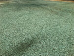 Do dálky se pod přirozeným slunečním svitem rozprostírá velké rovné pole pokryté zelenou hydromulčí, která se používá k protierozní ochraně a výsevu trávy prostřednictvím Hydroosevních trávníků.