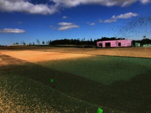 Velké hejno ptáků letí nad travnatým polem se svěžími Hydroosevníky pod modrou oblohou. V dálce je vidět částečně rozestavěná budova pokrytá jasně růžovým izolačním materiálem.