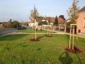 Na travnaté ploše vedle obytné ulice s domy a několika zaparkovanými vozidly v pozadí je vysazeno několik mladých stromků s dřevěnými podpěrami.