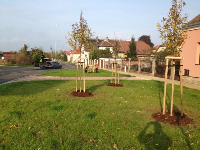 Několik mladých stromků podepřených dřevěnými kůly je zasazeno na travnaté ploše poblíž zakřivené obytné ulice, v pozadí jsou za slunečného dne vidět domy a zaparkovaná auta.